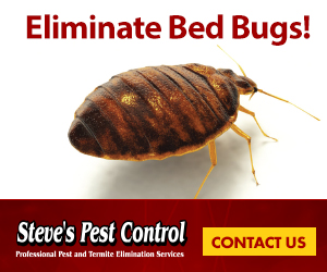 Eliminate Bed Bugs! Steve's Pest Control Professional Pest and Termite Elimination Services Contact Us