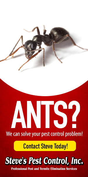 Ants? We can solve your pest control problem! Contact Steve Today! Steve's Pest Control, Inc. Professional Pest and Termite Elimination Services