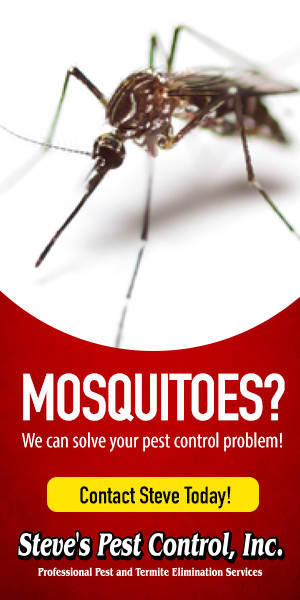 Mosquitoes? We can solve your pest control problem! Contact Steve Today! Steve's Pest Control, Inc. Professional Pest and Termite Elimination Services
