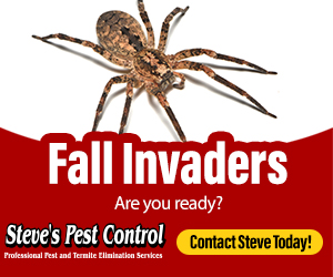 Fall Invaders: Are you ready? Contact Steve's Pest Control today.